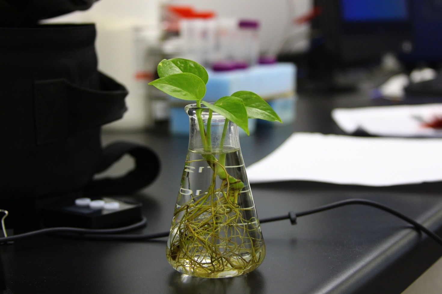 Exploring Advanced Methodologies in Plant Science